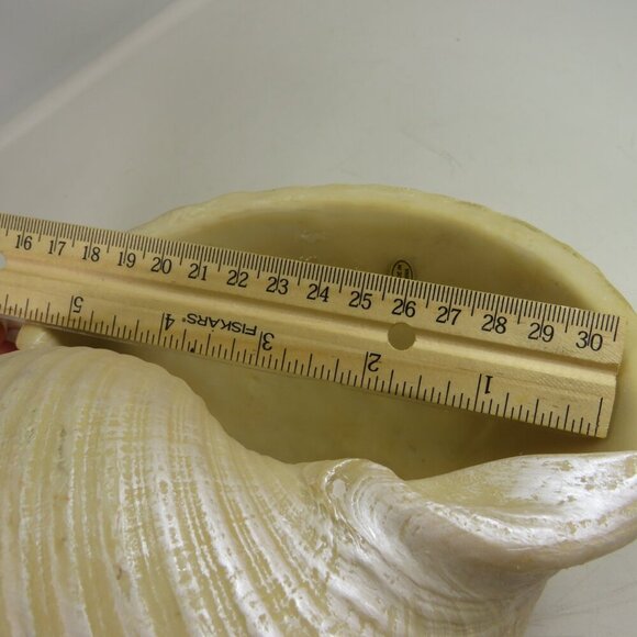 Faux Sea shell light pink & cream some iridescences  9" long 5" tall - Picture 10 of 12